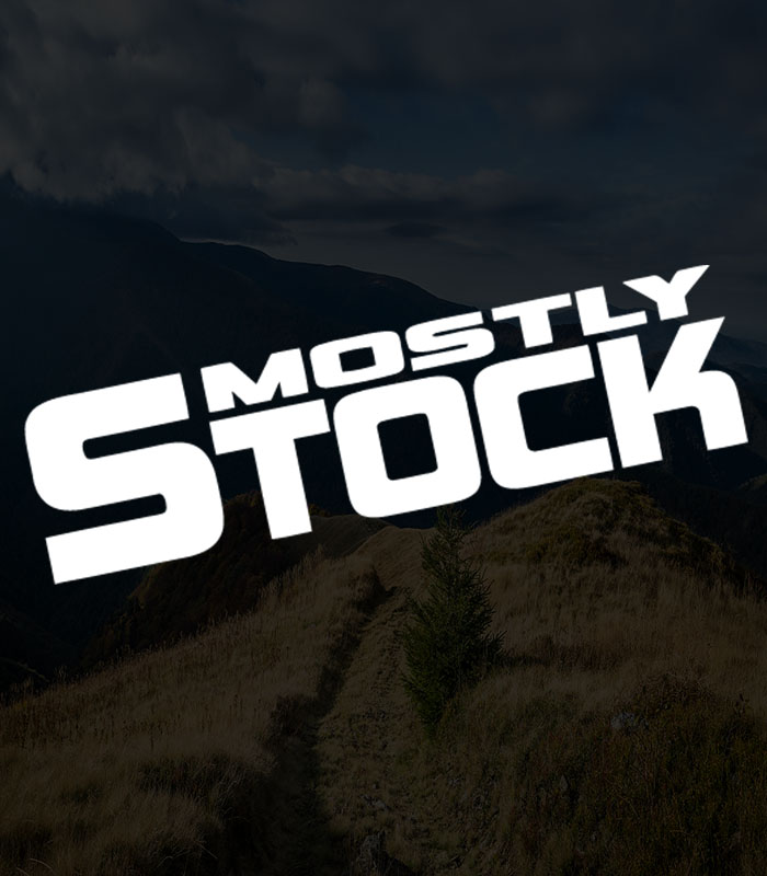 Mostly Stock